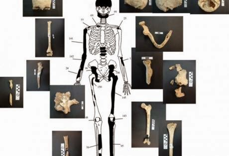 Πέντε οι σκελετοί της Αμφίπολης - Δείτε φωτο - Φωτογραφία 1