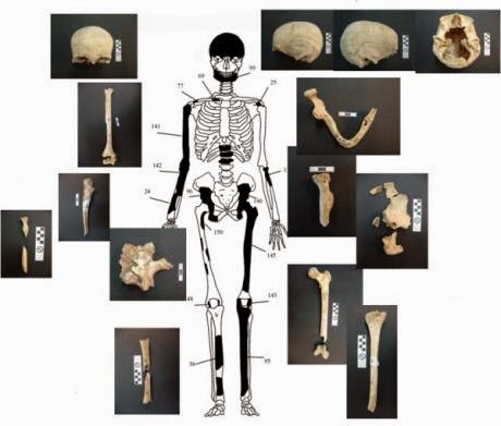 Πέντε οι σκελετοί της Αμφίπολης - Δείτε φωτο - Φωτογραφία 3