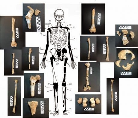 Πέντε οι σκελετοί της Αμφίπολης - Δείτε φωτο - Φωτογραφία 5