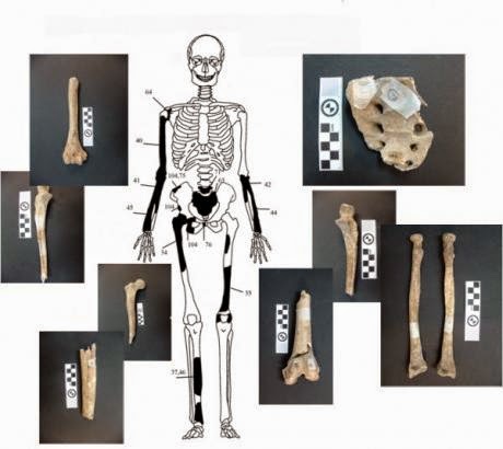 Πέντε οι σκελετοί της Αμφίπολης - Δείτε φωτο - Φωτογραφία 7