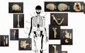 Πέντε οι σκελετοί της Αμφίπολης - Δείτε φωτο - Φωτογραφία 3