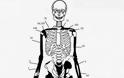 Πέντε οι σκελετοί της Αμφίπολης - Δείτε φωτο - Φωτογραφία 4