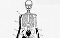 Πέντε οι σκελετοί της Αμφίπολης - Δείτε φωτο - Φωτογραφία 6