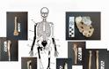 Πέντε οι σκελετοί της Αμφίπολης - Δείτε φωτο - Φωτογραφία 7