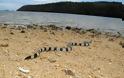 Ζευγάρι πόζαρε με το πιο δηλητηριώδες φίδι στον κόσμο [photos] - Φωτογραφία 3
