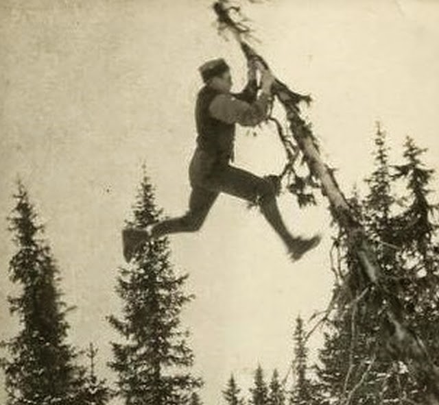 Η απόδραση ενός Νορβηγού κατασκόπου που κάλυψε 200 μίλια σε χιονισμένα βουνά, πηδώντας από δέντρο σε δέντρο για να μην αφήνει ίχνη στους Ναζί - Φωτογραφία 1