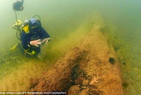 ΜΟΝΑΔΙΚΟ: Βρήκαν δάσος 10.000 ετών κρυμμένο στο βυθό της Βόρειας Θάλασσας! [photos] - Φωτογραφία 1