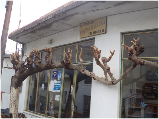 Έβαλε το εμπόρευμα σε κούτες και... ησύχασε - Φωτογραφία 3