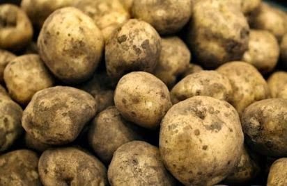 Δεσμεύτηκαν 300 κιλά πατάτες στον Πειραιά - Φωτογραφία 1