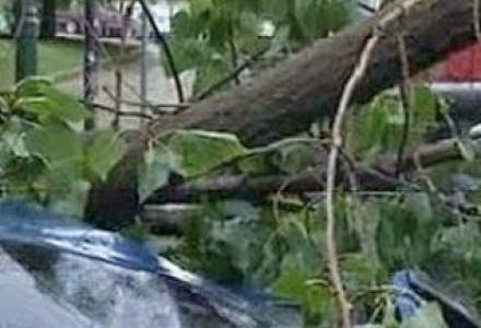 Δυτική Αχαΐα: Πολλά προβλήματα από την κακοκαιρία - Έφυγαν στέγες, έπεσαν δέντρα - Φωτογραφία 1