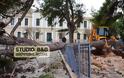 ΣΟΚ στο Ναύπλιο: Έπεσαν 2 μεγάλα πεύκα σε πάρκο που καθημερινά παίζουν ΜΙΚΡΑ ΠΑΙΔΙΑ [photos] - Φωτογραφία 3