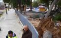 ΣΟΚ στο Ναύπλιο: Έπεσαν 2 μεγάλα πεύκα σε πάρκο που καθημερινά παίζουν ΜΙΚΡΑ ΠΑΙΔΙΑ [photos] - Φωτογραφία 4