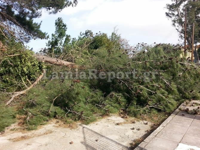 Τους πήρε και τους σήκωσε στα Καμένα Βούρλα: Έριξε δέντρα, κολόνες, ξήλωσε πεζοδρόμια [photos] - Φωτογραφία 2