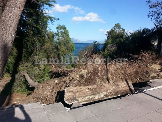 Τους πήρε και τους σήκωσε στα Καμένα Βούρλα: Έριξε δέντρα, κολόνες, ξήλωσε πεζοδρόμια [photos] - Φωτογραφία 8