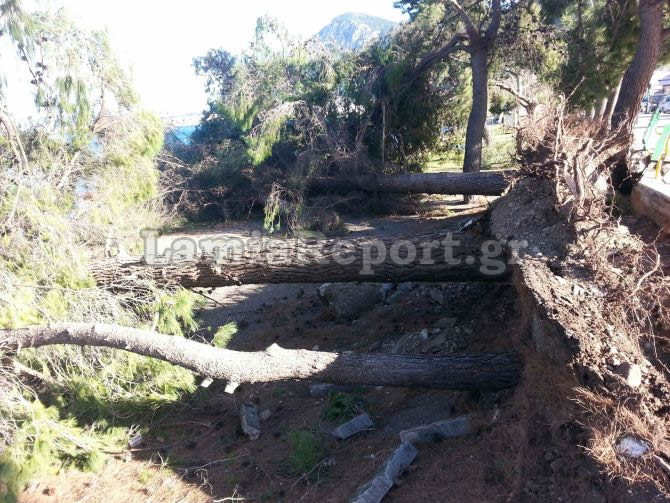 Τους πήρε και τους σήκωσε στα Καμένα Βούρλα: Έριξε δέντρα, κολόνες, ξήλωσε πεζοδρόμια [photos] - Φωτογραφία 9