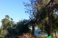 Τους πήρε και τους σήκωσε στα Καμένα Βούρλα: Έριξε δέντρα, κολόνες, ξήλωσε πεζοδρόμια [photos]
