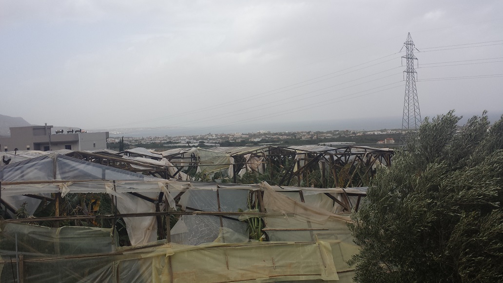 Οι θυελλώδεις άνεμοι κατέστρεψαν θερμοκήπια και καλλιέργειες - Φωτογραφία 3