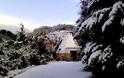 Εικόνες από τα χιονισμένα χωριά των Ιωαννίνων...[photos] - Φωτογραφία 10