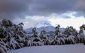 Εικόνες από τα χιονισμένα χωριά των Ιωαννίνων...[photos] - Φωτογραφία 2