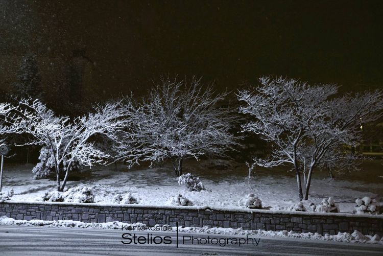 Δείτε υπέροχες φωτογραφίες από το χιονισμένο Καρπενήσι - Φωτογραφία 14
