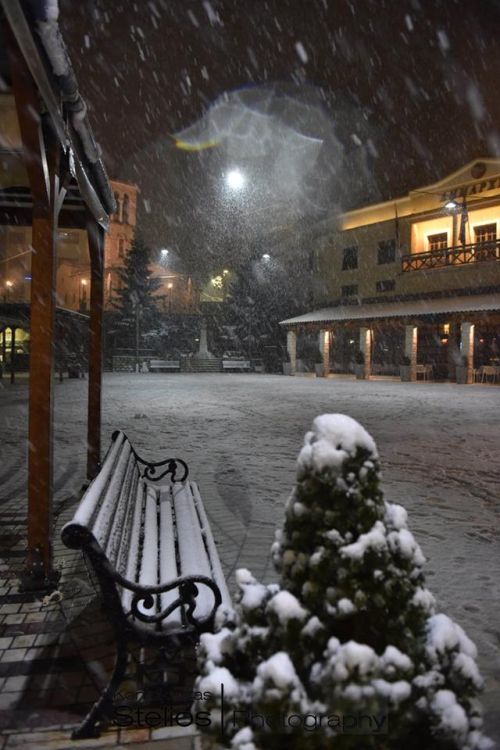 Δείτε υπέροχες φωτογραφίες από το χιονισμένο Καρπενήσι - Φωτογραφία 16