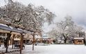 Δείτε υπέροχες φωτογραφίες από το χιονισμένο Καρπενήσι - Φωτογραφία 12