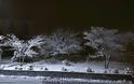 Δείτε υπέροχες φωτογραφίες από το χιονισμένο Καρπενήσι - Φωτογραφία 14
