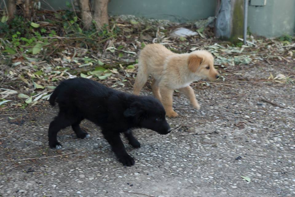 Είδαν να ξεπροβάλλουν πόδια από ένα κουτί! Τι αντίκρισαν; [photos] - Φωτογραφία 2