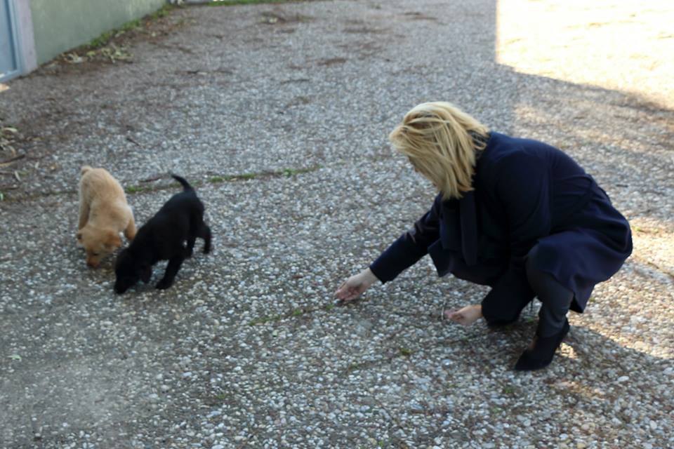 Είδαν να ξεπροβάλλουν πόδια από ένα κουτί! Τι αντίκρισαν; [photos] - Φωτογραφία 3