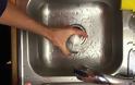 Πώς να ξεφλουδίσετε ένα βρασμένο αυγό σε ελάχιστα δευτερόλεπτα [video]