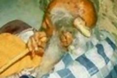 Κερατάδες στην… κυριολεξία! [photos]
