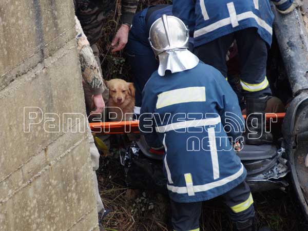 ΘΑ ΔΑΚΡΥΣΕΤΕ: Η ιστορία του σκύλου μετά από τροχαίο του αφεντικού του που συγκλονίζει...[photos] - Φωτογραφία 6