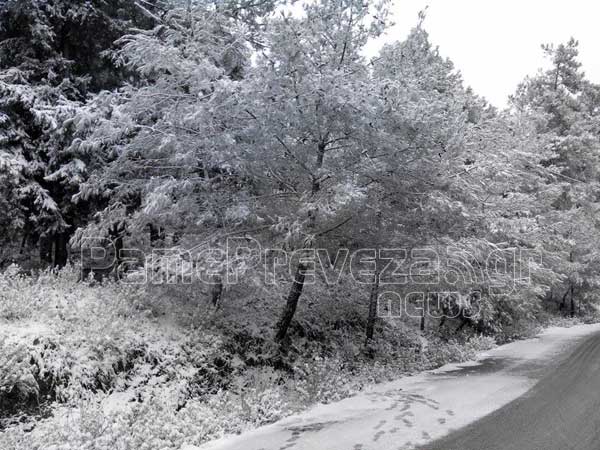 Στα λευκά η Καμαρίνα και η Κρυοπηγή στην Πρέβεζα - Δείτε μοναδικές εικόνες - Φωτογραφία 6