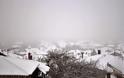 Καλάβρυτα: Θάφτηκαν στο χιόνι τα χωριά - Προβλήματα ηλεκτροδότησης λόγω της κακοκαιρίας - Κλειστά σήμερα τα σχολεία