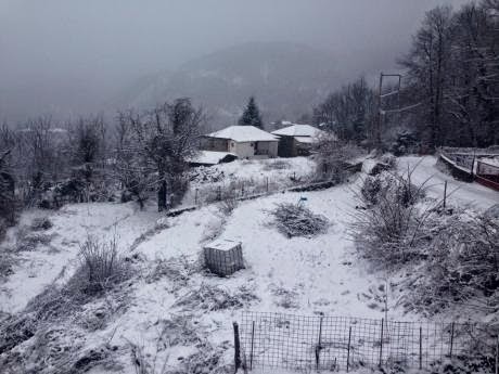 Ορεινή Ναυπακτία: Το έστρωσε για τα καλά - Φωτογραφία 2
