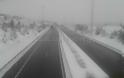 Δίπλωσε νταλίκα στην εθνική οδό - Μάχη με το χιονιά για να μείνει ο δρόμος ανοιχτός... - Φωτογραφία 5