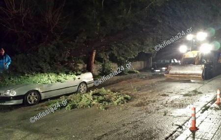 Δέντρο έπεσε πάνω σε αυτοκίνητο στη Κηφισιά [photos] - Φωτογραφία 4