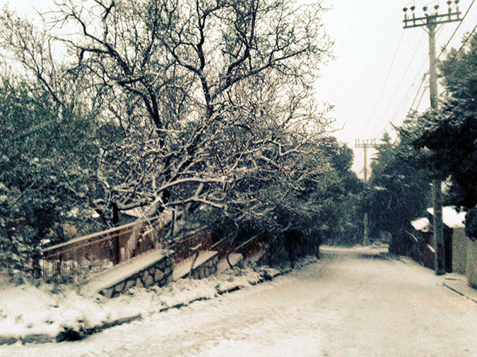 ΤΩΡΑ: Χιονίζει ασταμάτητα στην Αθήνα...Τα πάντα στα λευκά! [photos] - Φωτογραφία 3