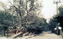 ΤΩΡΑ: Χιονίζει ασταμάτητα στην Αθήνα...Τα πάντα στα λευκά! [photos] - Φωτογραφία 3