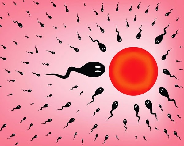 Τι 20, τι 30, τι 40: Ποιες αλλαγές συμβαίνουν στα ωάρια και το σπέρμα - Φωτογραφία 1