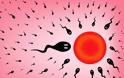 Τι 20, τι 30, τι 40: Ποιες αλλαγές συμβαίνουν στα ωάρια και το σπέρμα