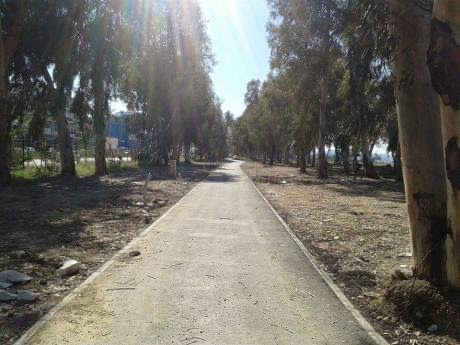 Πάτρα: Ο ποδηλατόδρομος που δεν έχουν γνωρίσει οι πολίτες - Έτοιμα τα πρώτα 4 χιλιόμετρα - Φωτογραφία 6