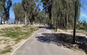 Πάτρα: Ο ποδηλατόδρομος που δεν έχουν γνωρίσει οι πολίτες - Έτοιμα τα πρώτα 4 χιλιόμετρα - Φωτογραφία 3
