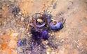 Εργασίες Έρευνας, Εκκαθάρισης και Καταστροφής Ναρκών στη παραλία Μονολιθίου Πρέβεζας από το ΤΕΝΞ - Φωτογραφία 5
