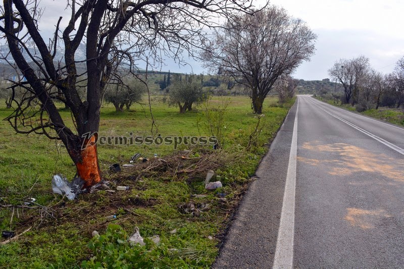 Αυτοκίνητο έπεσε σε δέντρο στην Αλίαρτο Βοιωτίας - Φωτογραφία 2