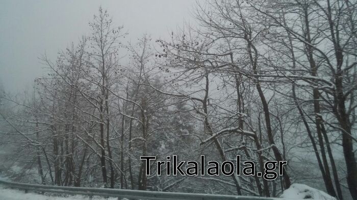 Χιονόπτωση στην Ελάτη Τρικάλων [photos] - Φωτογραφία 6