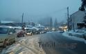 Χιονόπτωση στην Ελάτη Τρικάλων [photos] - Φωτογραφία 7