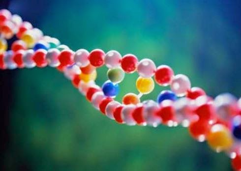 Χρονοκάψουλες DNA για αποθήκευση δεδομένων «στην αιωνιότητα» - Φωτογραφία 1