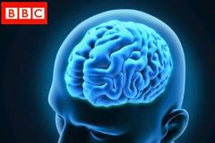 Σε τι κατάσταση βρίσκεται ο εγκέφαλός σας αυτή τη στιγμή; [photos]