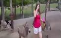 ΘΑ ΠΑΘΕΤΕ ΠΛΑΚΑ: Δείτε τι θα κάνει αυτό το γαϊδούρι στην κοπέλα [video]